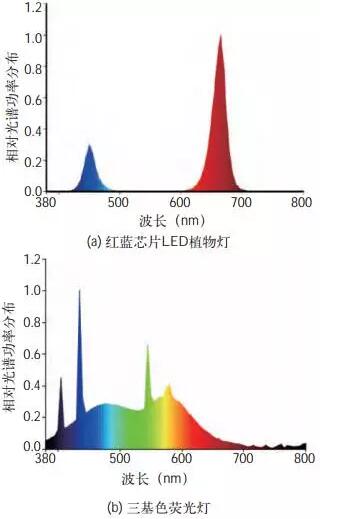 QQ截图20180322154740.jpg